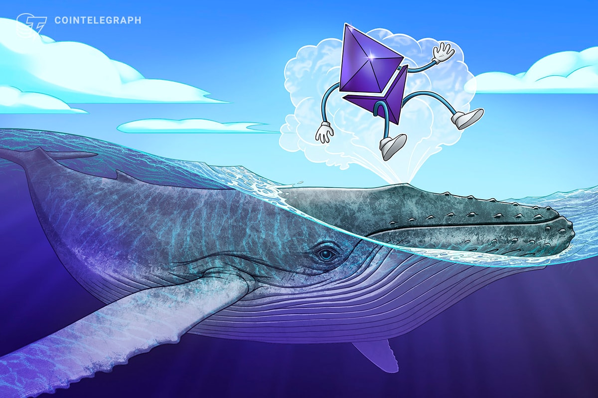 Read more about the article ETH Whales Stack 14% More Coins Since April Low: Santiment