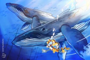 Read more about the article “New” Bitcoin Whale Losses Deepen as Binance Inflows Rise